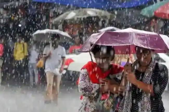 Rainfall, dense fog in these states ahead of Republic Day - check IMD's weather forecast