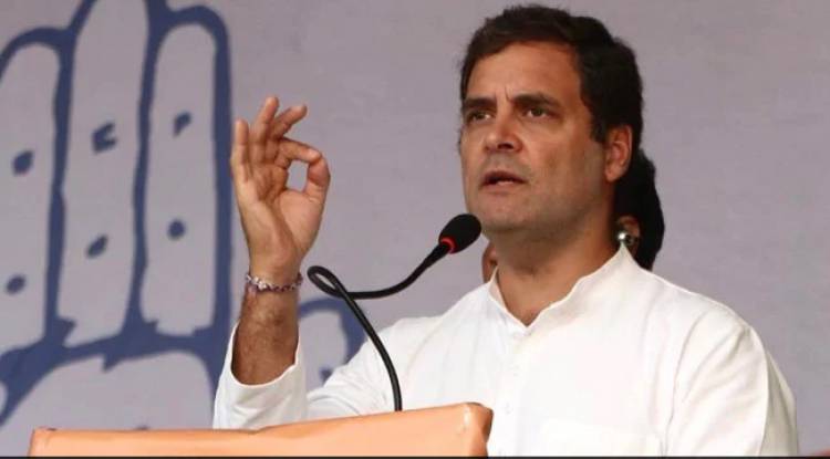 Will Take Action Against Mumbai Professor For Remark On Rahul Gandhi: Minister