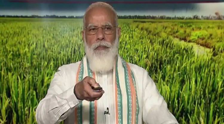 World Food Day: New farm laws will boost farmers' income, assures PM Narendra Modi