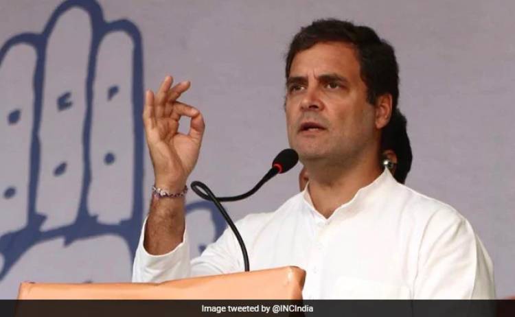 Will Take Action Against Mumbai Professor For Remark On Rahul Gandhi: Minister