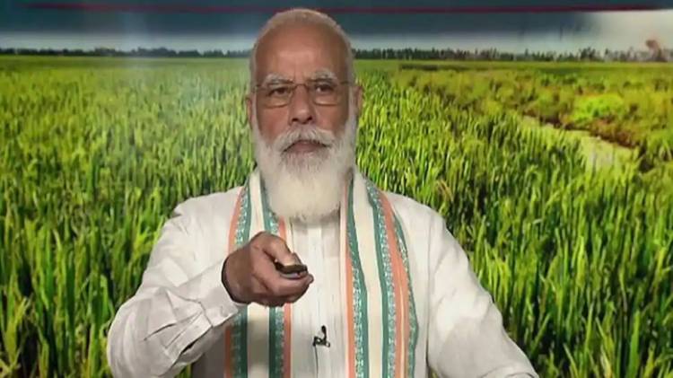 World Food Day: New farm laws will boost farmers' income, assures PM Narendra Modi